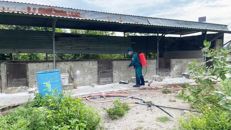 Cán bộ thú y xã Nhơn Sơn, huyện Ninh Sơn (Ninh Thuận) thực hiện tổng vệ sinh, khử trùng tiêu độc 1 lần/ngày trong tuần lễ đầu tiên kể từ khi phát hiện dịch tả lợn châu Phi tại địa phương. (Ảnh: NGUYỄN TRUNG)