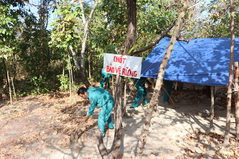 Các tổ cộng đồng nhận khoán bảo vệ rừng trên địa bàn tỉnh Ninh Thuận lập chốt bảo vệ rừng để kiểm soát người dân khi ra, vào rừng hằng ngày. Các tổ cộng đồng nhận khoán bảo vệ rừng trên địa bàn tỉnh Ninh Thuận lập chốt bảo vệ rừng để kiểm soát người dân khi ra, vào rừng hằng ngày.
