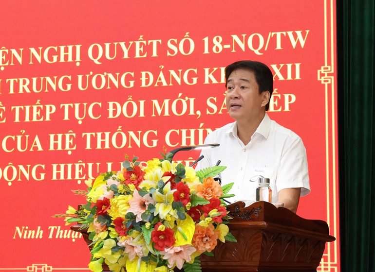 Phó Chủ tịch Ủy ban nhân dân tỉnh Ninh Thuận Nguyễn Long Biên phát biểu tại hội nghị. (Ảnh: NGUYỄN TRUNG)