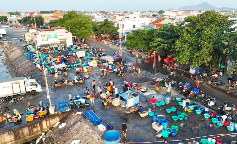 Tại khu vực cảng cá Mỹ Tân, xã Thanh Hải, huyện Ninh Hải, tỉnh Ninh Thuận hình thành chợ đầu mối cung cấp hải sản cho thương lái vận chuyển đến các vùng khác trên địa bàn tỉnh và các tỉnh lân cận.