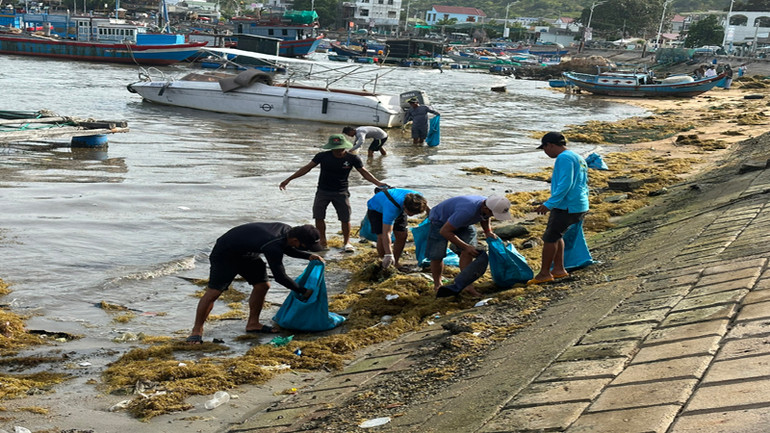 Nhóm "Vĩnh Hy xanh-sạch-đẹp” thu gom rác thải dưới kè vịnh Vĩnh Hy.