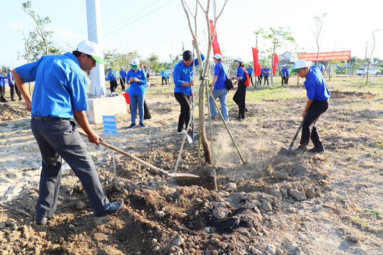 Sau lễ phát động, các đoàn viên thanh niên tỉnh Ninh Thuận trồng hàng trăm cây xanh tại Công viên biển Bình Sơn, thành phố Phan Rang-Tháp Chàm.