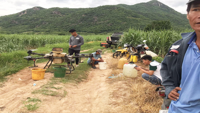 Đội ngũ kỹ sư của Công ty cổ phần đường Biên Hòa-Phan Rang hướng dẫn nông dân sử dụng hệ thống phun thuốc bảo vệ thực vật, cách chăm sóc mía trong thời gian sinh trưởng, ổn định năng suất.