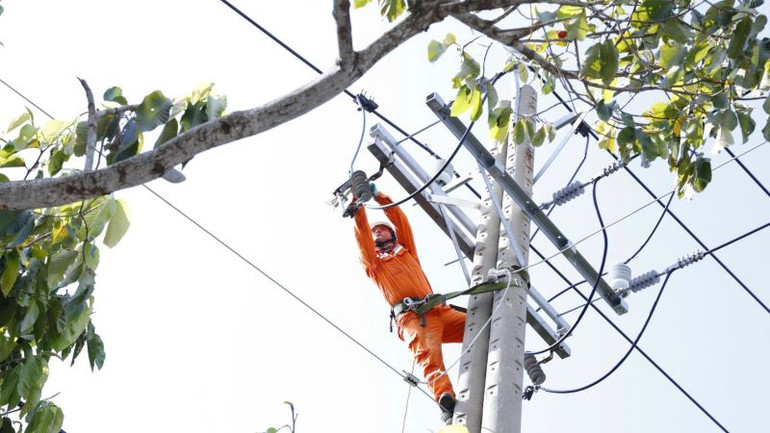 Hệ thống điện được kiểm tra, cắt cành cây để vận hành lưới điện an toàn. Hệ thống điện được kiểm tra, cắt cành cây để vận hành lưới điện an toàn.