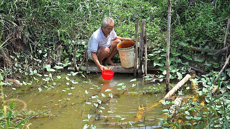Suốt chiều dài khoảng 6 km tuyến kênh Bảy Kinh, các hộ dân sinh sống dọc trên tuyến thuộc các ấp 12, 13, 16 và 17 cùng tình cảnh khan hiếm nước sinh hoạt trong nhiều mùa khô liên tiếp.
