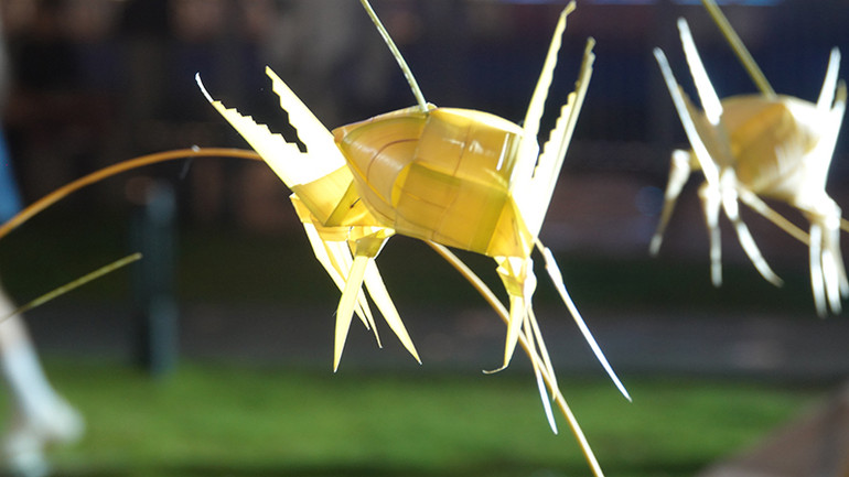 Lễ hội Sông nước lần 2 mang đến Không gian truyền thống ngay tại trung tâm Thành phố Hồ Chí Minh. Lễ hội Sông nước lần 2 mang đến Không gian truyền thống ngay tại trung tâm Thành phố Hồ Chí Minh.