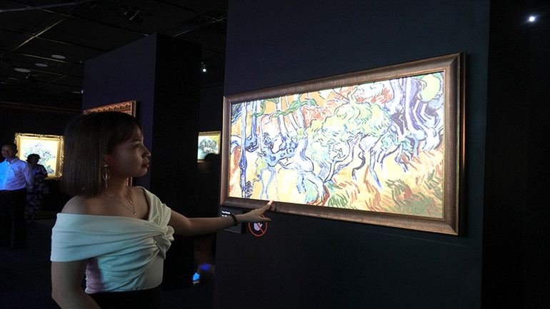 Một khách tham quan thưởng thức tranh tại triển lãm.