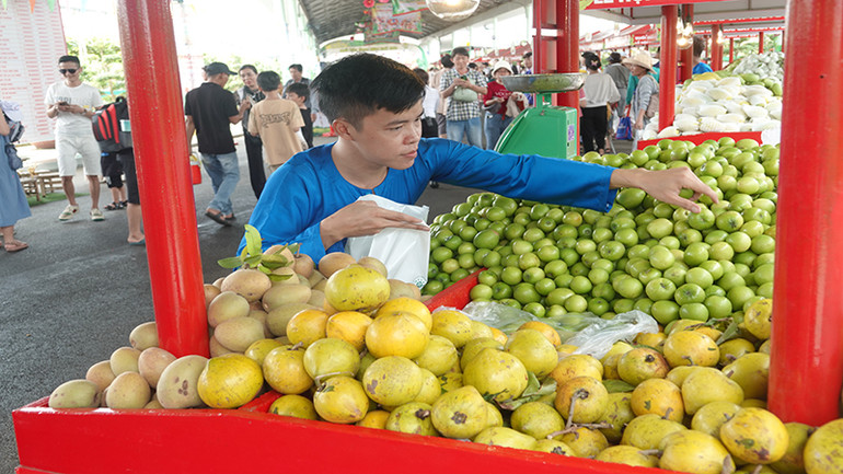 Lễ hội giới thiệu nhiều loại trái cây đến từ các vùng miền.