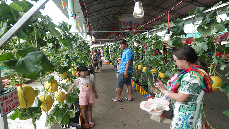 Lễ hội giới thiệu nhiều loại trái cây được trồng theo mô hình ứng dụng công nghệ cao.
