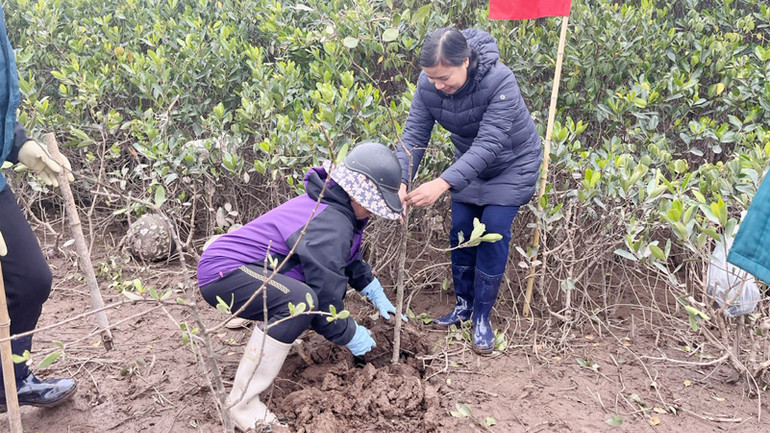 Người dân trên địa bàn huyện Thái Thụy tham gia trồng cây tại lễ phát động.