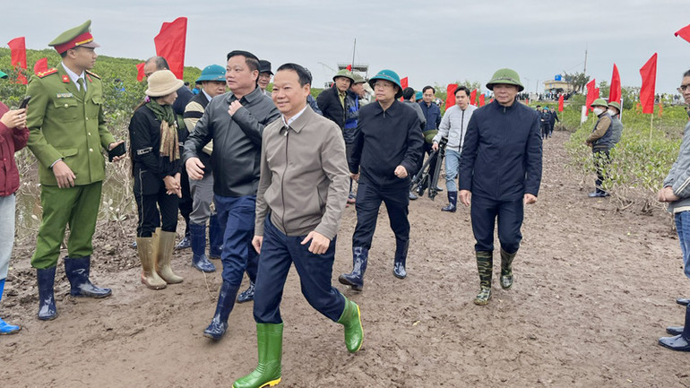 Các đại biểu tham dự lễ phát động.