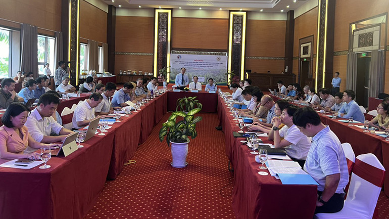 Các đại biểu tham dự Hội thảo.