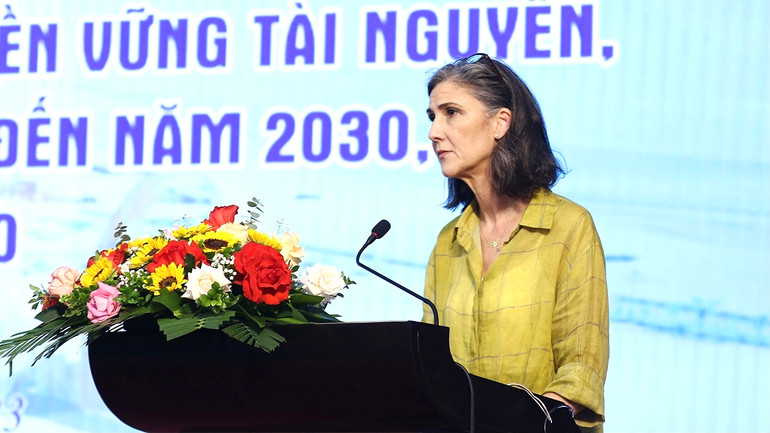 Đại diện UNDP tại Việt Nam phát biểu ý kiến.