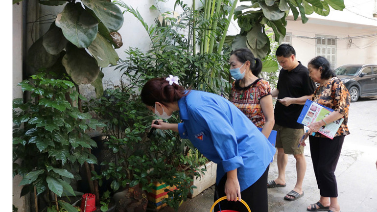Cán bộ y tế, người dân kiểm tra bọ gậy trên địa bàn quận Đống Đa.