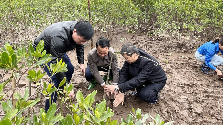 Lãnh đạo Bộ Tài nguyên và Môi trường, Tỉnh ủy, UBND tỉnh Thái Bình tham gia trồng cây tại lễ phát động.