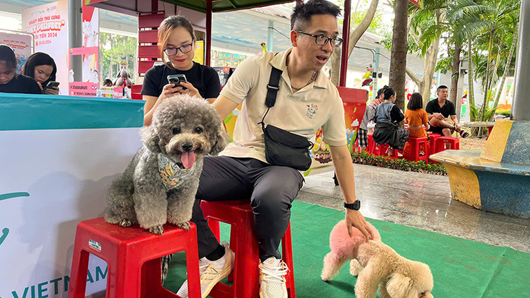 Ngày hội có nhiều hoạt động dành cho thú cưng.