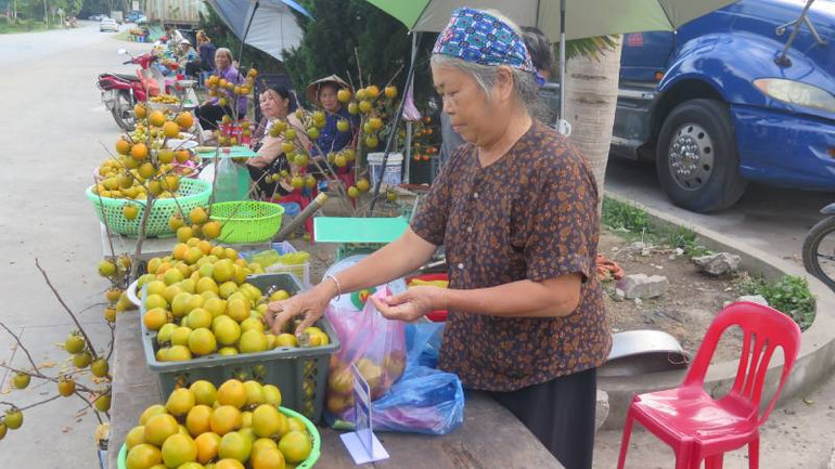 Người dân ở xã Tân Mỹ, Văn Lãng (Lạng Sơn) đem hồng Vành khuyên bán ở các phiên chợ của xã.