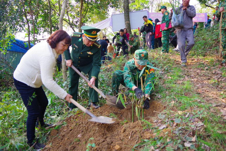 Cán bộ chiến sĩ Đồn Biên phòng cửa khẩu quốc tế Hữu Nghị (huyện Cao Lộc) hướng dẫn người dân trồng cây tre Bát Độ. Cán bộ chiến sĩ Đồn Biên phòng cửa khẩu quốc tế Hữu Nghị (huyện Cao Lộc) hướng dẫn người dân trồng cây tre Bát Độ.