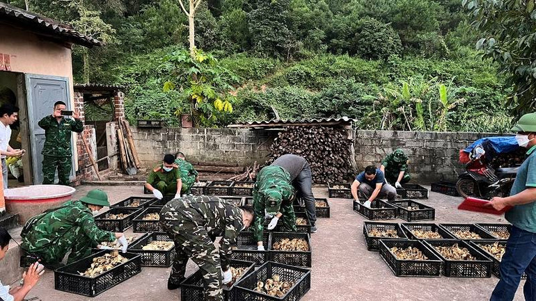 Đồn biên phòng cửa khẩu Chi Ma, Lộc Bình (Lạng Sơn) kịp thời phát hiện bắt giữ hơn 5 nghìn con vịt giống nhập lậu.