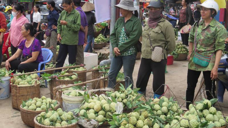 Na Chi Lăng được bà con các xã trong huyện đưa đến chợ hoa quả của huyện bán cho khách hàng.