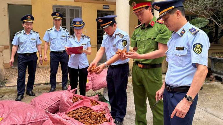 Đội Quản lý thị trường số 6, phối hợp với công an tỉnh kiểm tra thu giữ chân gà không rõ nguồn gốc, xuất xứ.