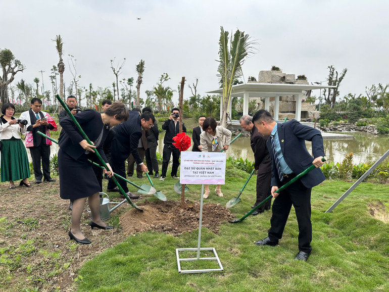 Các đại biểu tham gia trồng cây hoa anh đào.