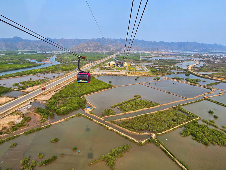 Cáp treo Cát Hải - điểm du lịch hấp dẫn.