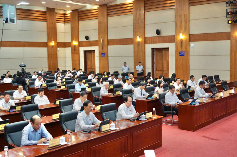 Các đại biểu dự kỳ họp.