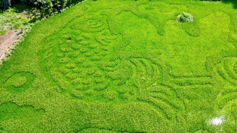 Bức tranh "Cá chép vượt vũ môn" được coi là biểu tượng của sự kiên trì, sự sáng tạo và sự cố gắng để vượt qua khó khăn, thách thức. Ngoài ra, cá chép cũng được coi là một biểu tượng của sự trường thọ và may mắn.