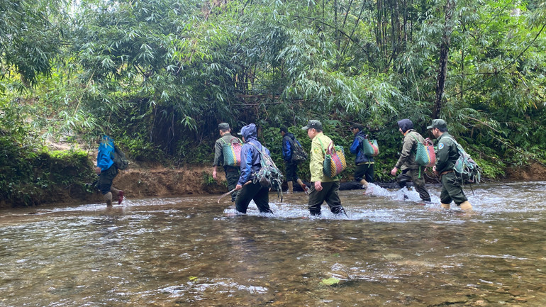 Vận chuyển tê tê vào rừng để tái thả.