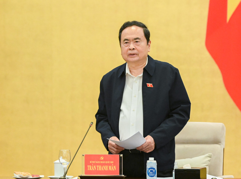 Chủ tịch Quốc hội phát biểu chỉ đạo. (Ảnh: DUY LINH)