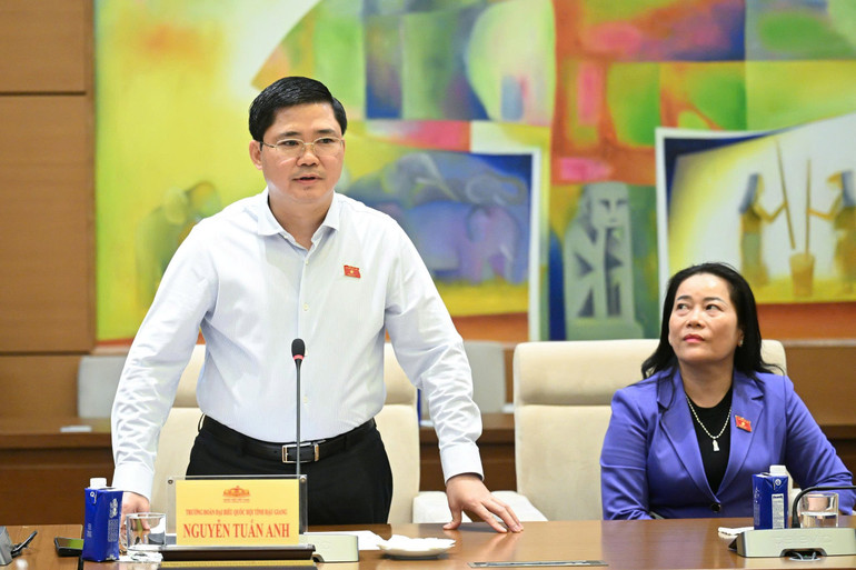 Trưởng Đoàn đại biểu Quốc hội tỉnh Hậu Giang Nguyễn Tuấn Anh phát biểu tại cuộc gặp. (Ảnh: Duy Linh)