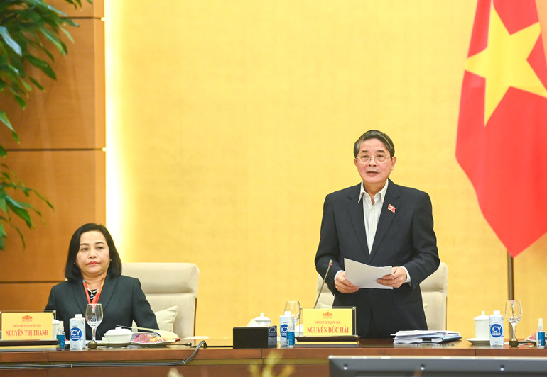 Phó Chủ tịch Quốc hội Nguyễn Đức Hải phát biểu kết luận.