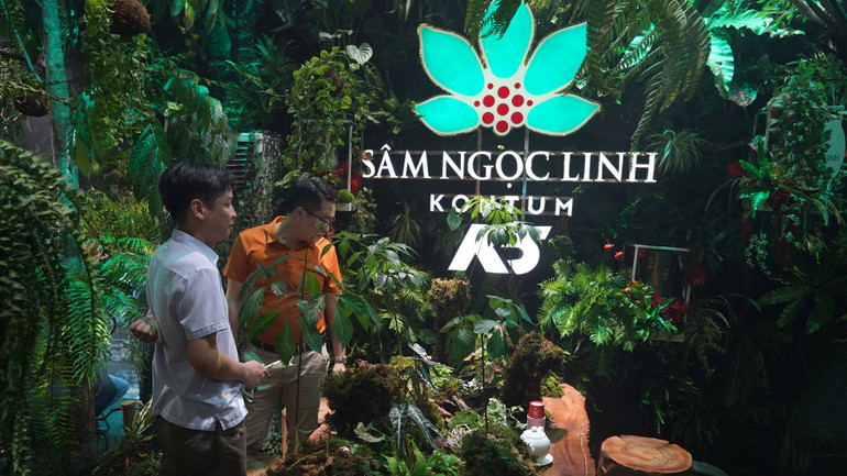 Nhiều khách tham quan thích thú với rừng sâm Ngọc Linh được tái hiện ngay trong lễ hội sâm quốc tế.