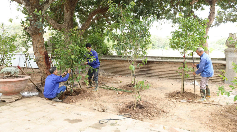 Việc trồng cây dược liệu nhằm tỏ lòng tri ân công lao to lớn của Thiền sư Nguyễn Minh Không đối với lịch sử dân tộc.