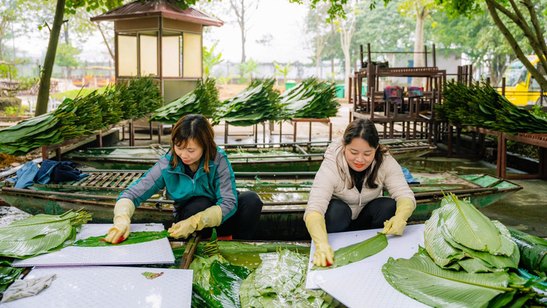 Các nguyên liệu như lá dong, gạo nếp, thịt lợn, đậu xanh đã được chuẩn bị kỹ lưỡng từ trước.