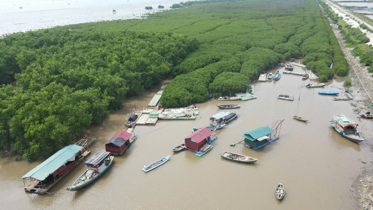 Ngư dân Ninh Bình chủ động neo đậu tàu thuyền vào nơi an toàn.