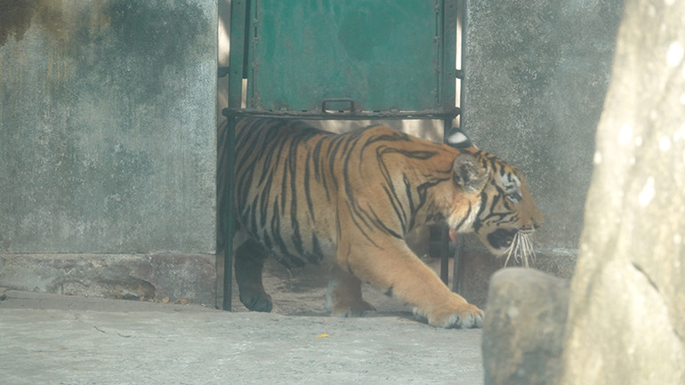 Bé Dương có phần nhút nhát nên phải một lúc sau mới dám xuất hiện.