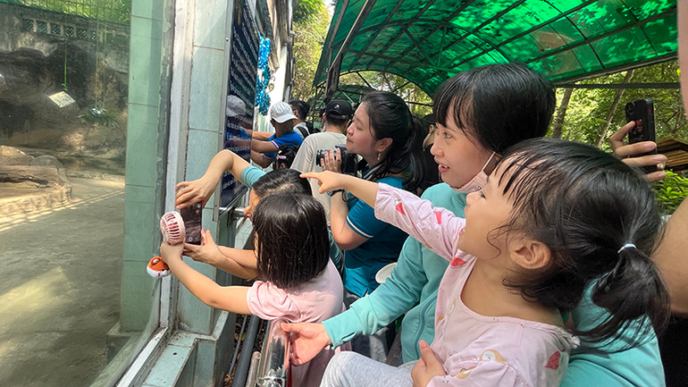 Các bé thích thú khi được thấy hai bé hổ Bình và Dương.