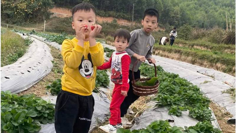 Sản phẩm nông sản sạch do đoàn viên thanh niên triển khai, thu hút các cháu thiếu nhi tham gia trải nghiệm.