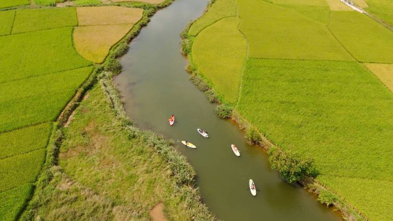 Du khách trải nghiệm chèo bè trên thung lũng mùa vàng Bắc Sơn (Lạng Sơn).