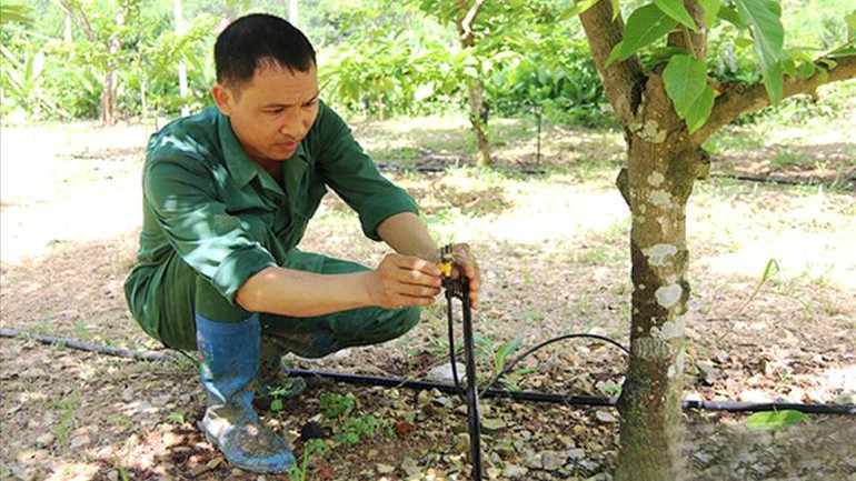 Người dân thôn Quán Thanh, xã Chi Lăng, huyện Chi Lăng (Lạng Sơn) kiểm tra hệ thống tưới nước tự động qua điện thoại thông minh.
