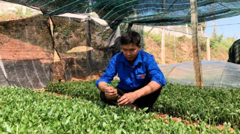 Nhiều đoàn viên thanh niên xã Hồ Sơn, huyện Hữu Lũng, (Lạng Sơn) phát triển mô hình ươm giống cây lâm nghiệp phục vụ cho trồng rừng.