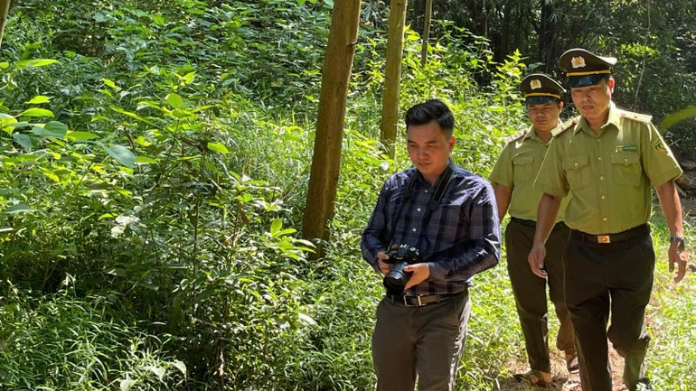 Công tác bảo vệ rừng luôn được chú trọng đặc biệt.