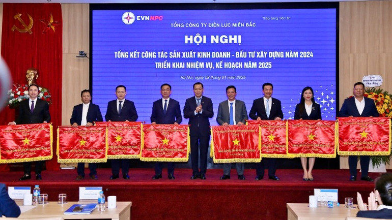 Trước đó, tại lễ tổng kết của Tổng Công ty Điện lực miền Bắc, Công ty TNHH Một thành viên Điện lực Ninh Bình được Tổng công ty trao cờ và giấy khen đạt giải Nhì khối các Công ty Điện lực; các tập thể và các cá nhân là cán bộ công nhân viên trong Công ty TNHH Một thành viên Điện lực Ninh Bình được các cấp khen thưởng.