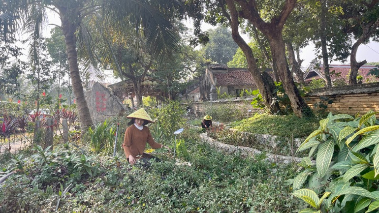 "Vườn thuốc đời người Đền Thánh Nguyễn" với hơn 100 loại cây thuốc quý, nhằm bảo tồn phát triển dược liệu bán sơn địa gắn với du lịch trải nghiệm trên địa bàn huyện Gia Viễn. "Vườn thuốc đời người Đền Thánh Nguyễn" với hơn 100 loại cây thuốc quý, nhằm bảo tồn phát triển dược liệu bán sơn địa gắn với du lịch trải nghiệm trên địa bàn huyện Gia Viễn.