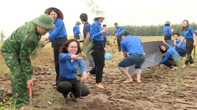 Đoàn Thanh niên huyện Kim Sơn trồng phi lao ven biển.