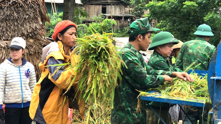 Cán bộ, chiến sĩ Đồn Biên phòng Cửa khẩu quốc tế Cha Lo giúp người dân bản K-Ai khai thác lúa nước.