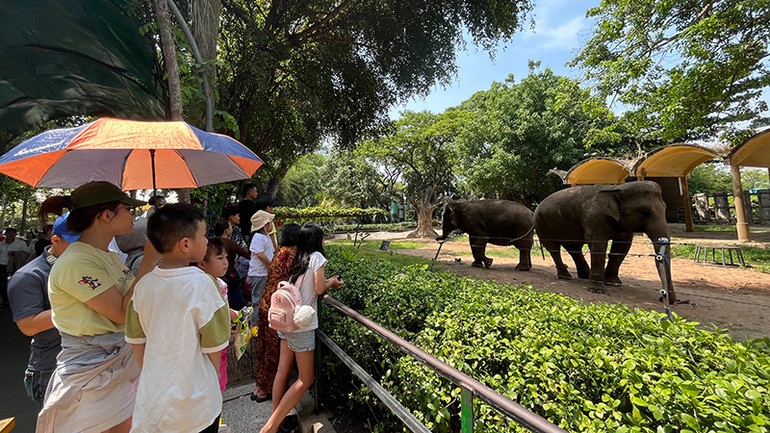 Khách tham quan thích thú khi được ngắm các loài động vật quý hiếm tại Thảo Cầm Viên Sài Gòn. (Ảnh: M.H).