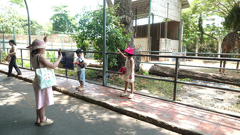 Khách tham quan chụp hình tại khu vực hươu cao cổ trong Thảo Cầm Viên Sài Gòn.